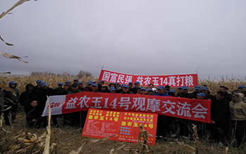 yl23455永利玉14现场会.jpg